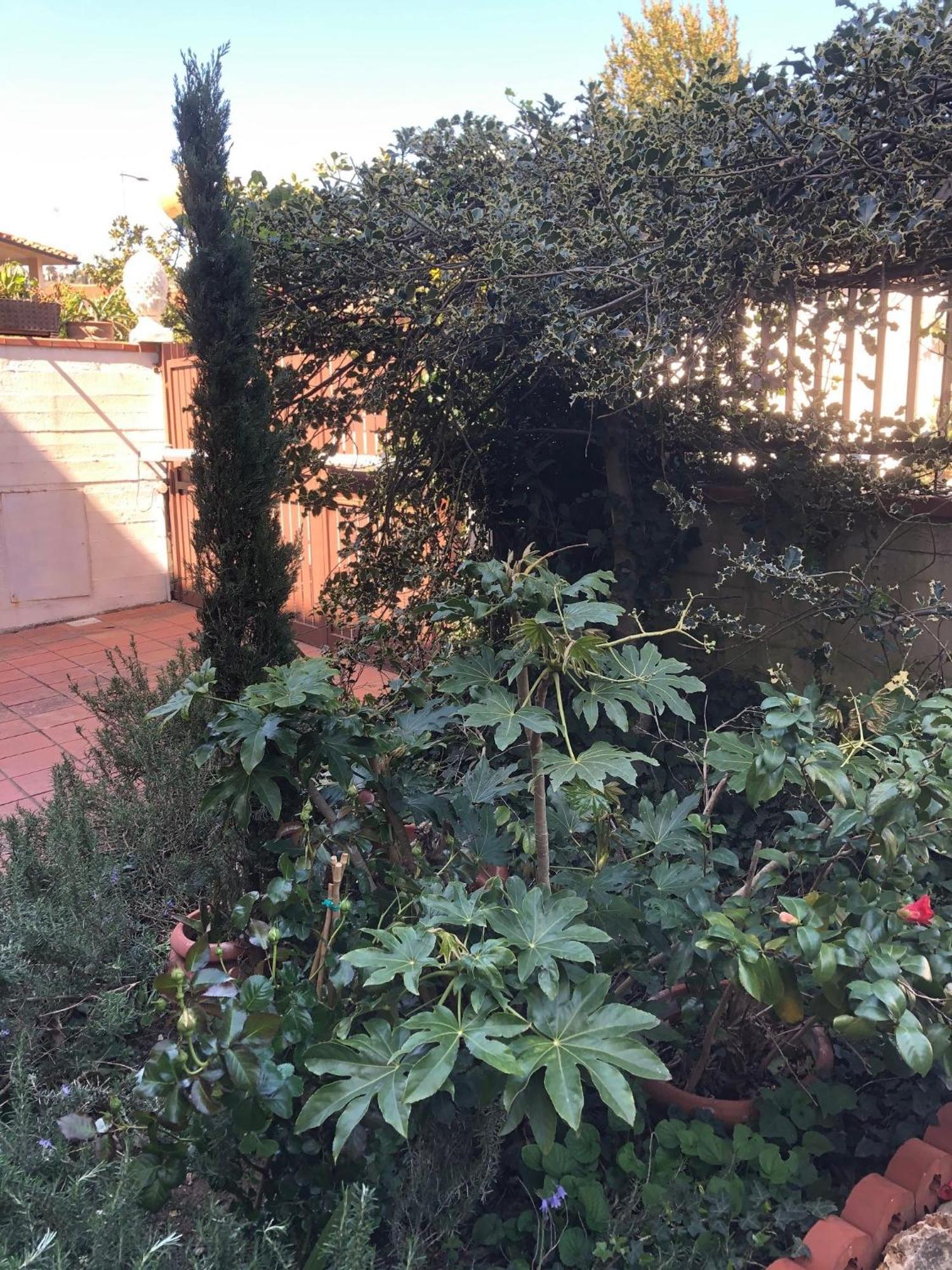 La Villa Bianca - Appartamento In Villa Sesto Fiorentino Zewnętrze zdjęcie